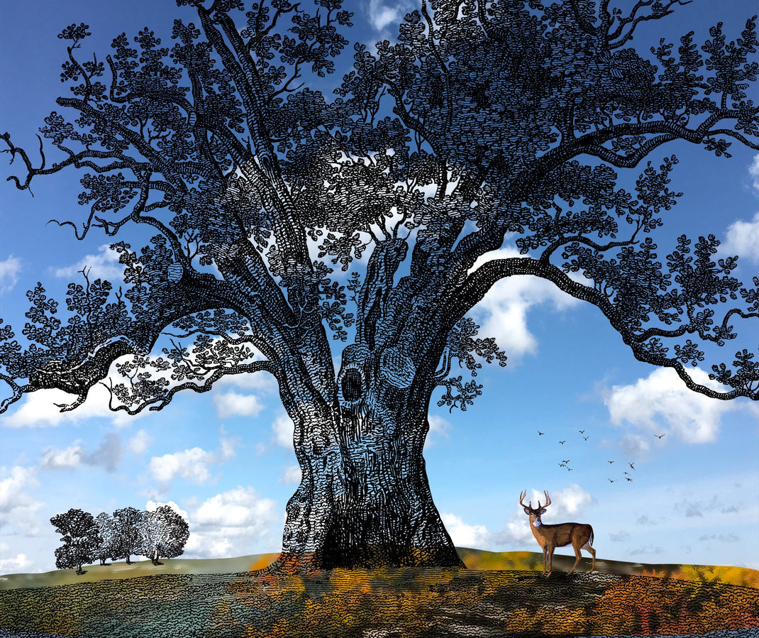 Alex Livingston: Inhabiting Landscapes