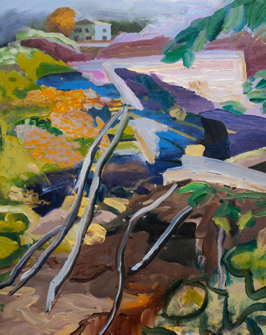 Walking Muggah Creek