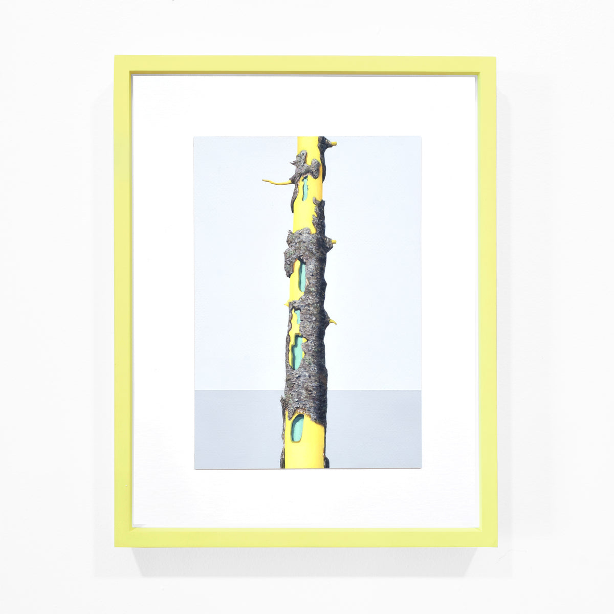 Exposed Core, Tree 4