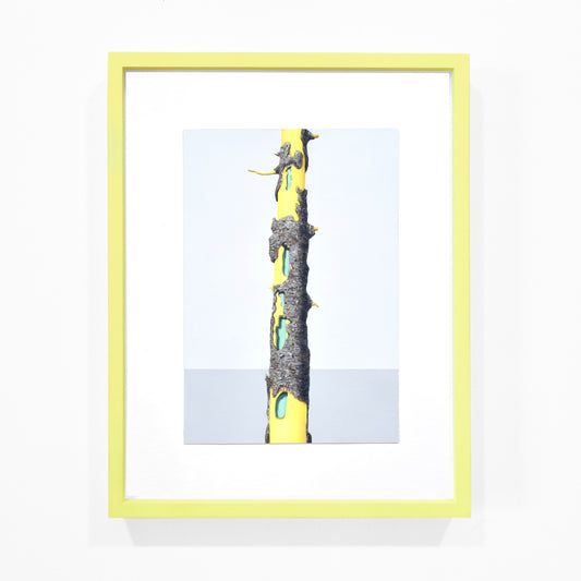 Exposed Core, Tree 4