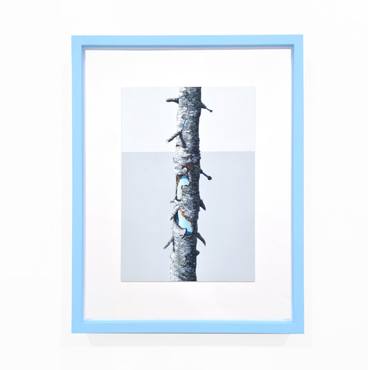 Exposed Core, Tree 2