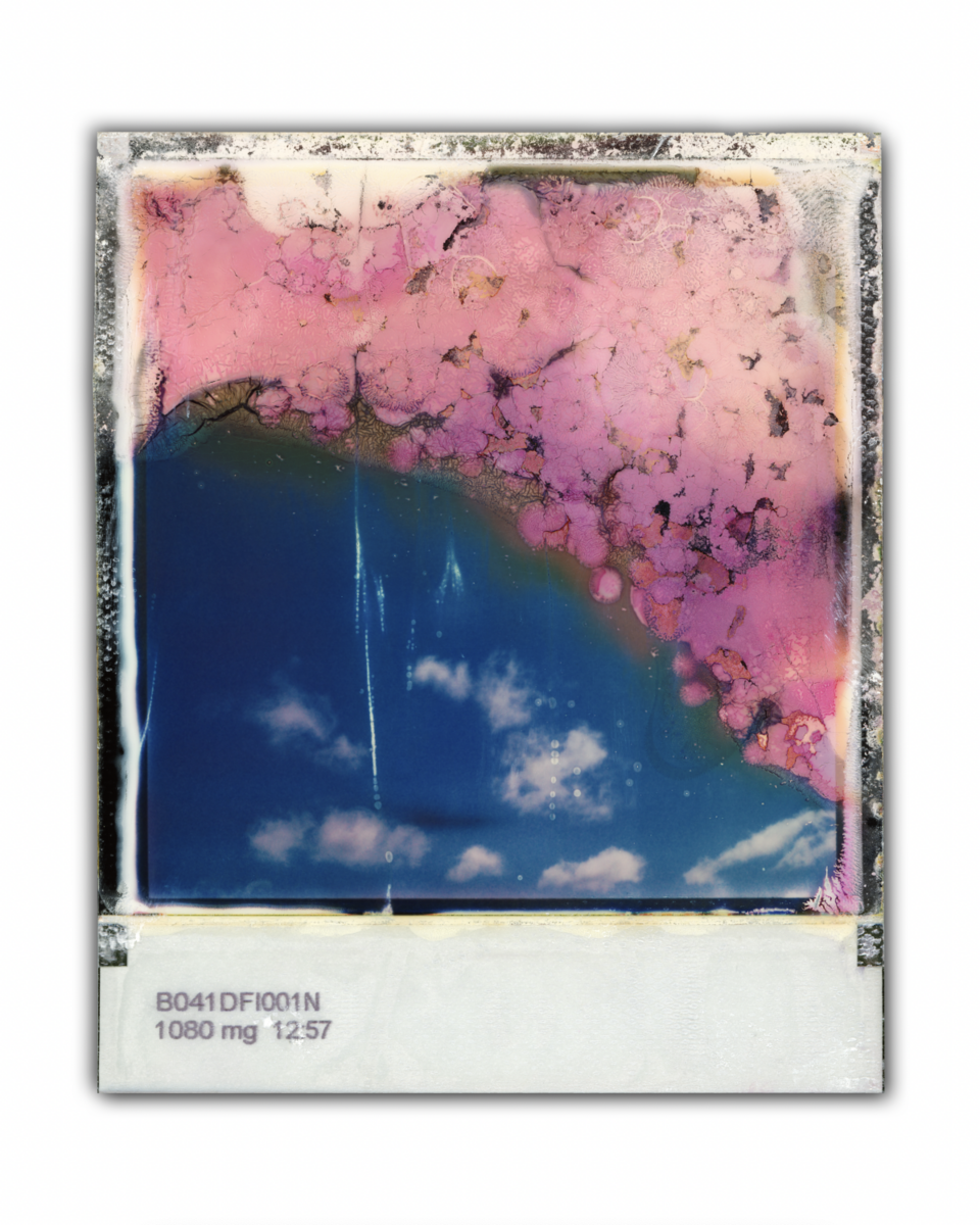 Pink Sky and Clouds #4 (Chester, NS)