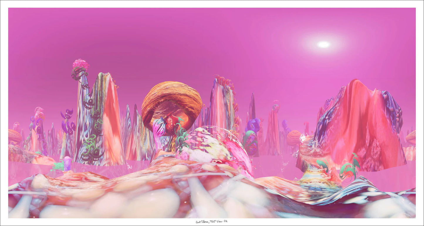Gut Flora, 360 View 02 - 2 of 10 editions