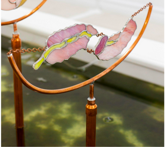 the feeler (viscera)