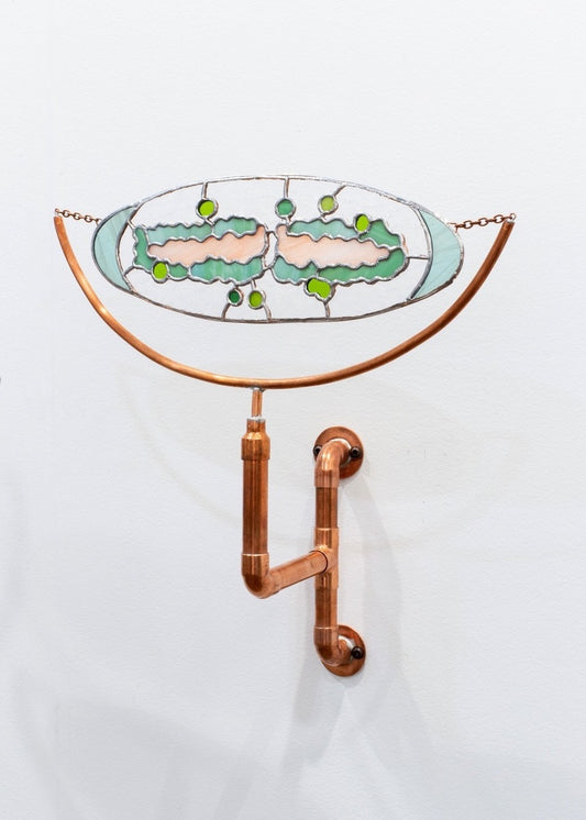 the weaver (filamentous chlorophyta)