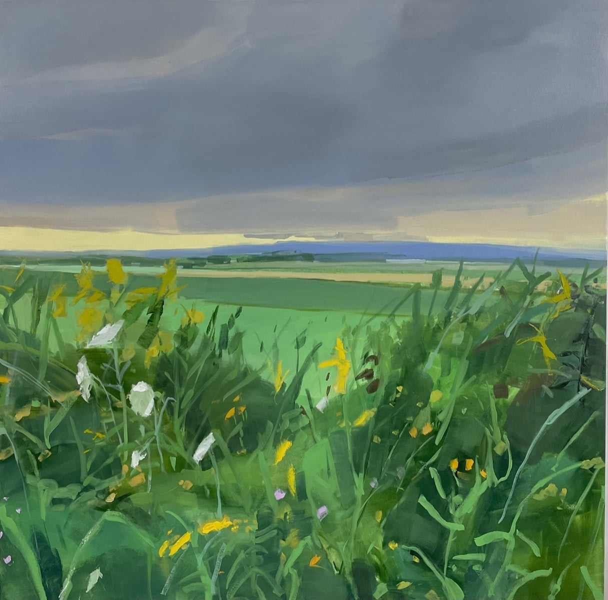 After rain