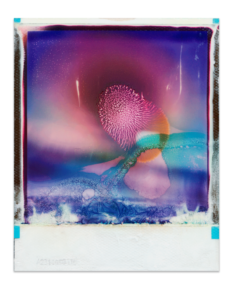 Untitled 1