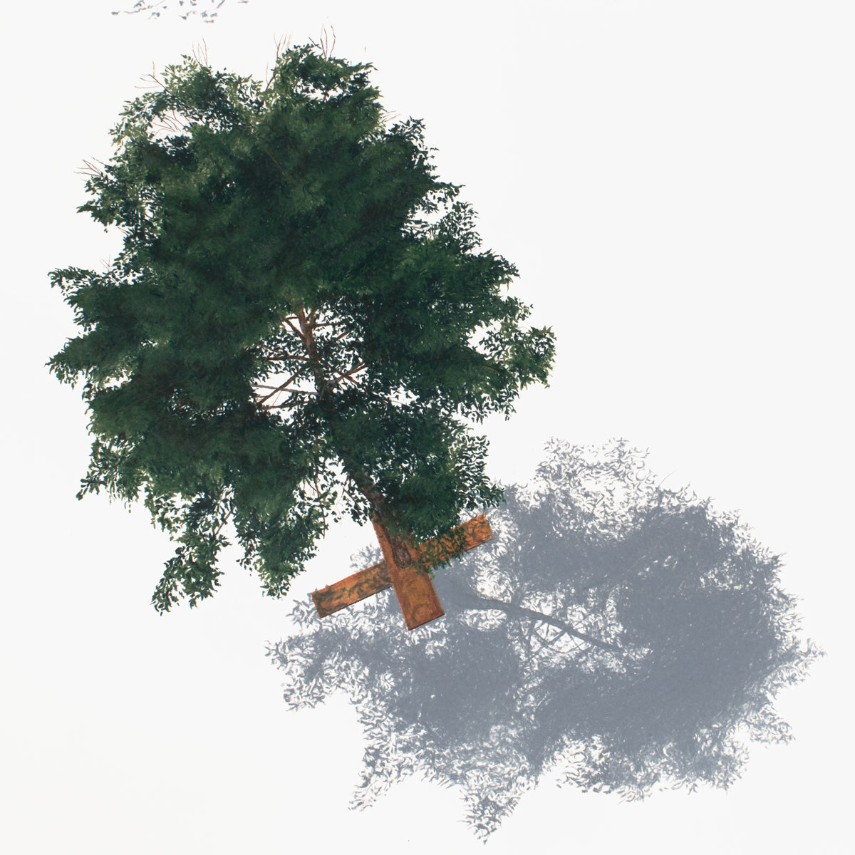 Floor Plan for Adorable Bungalow