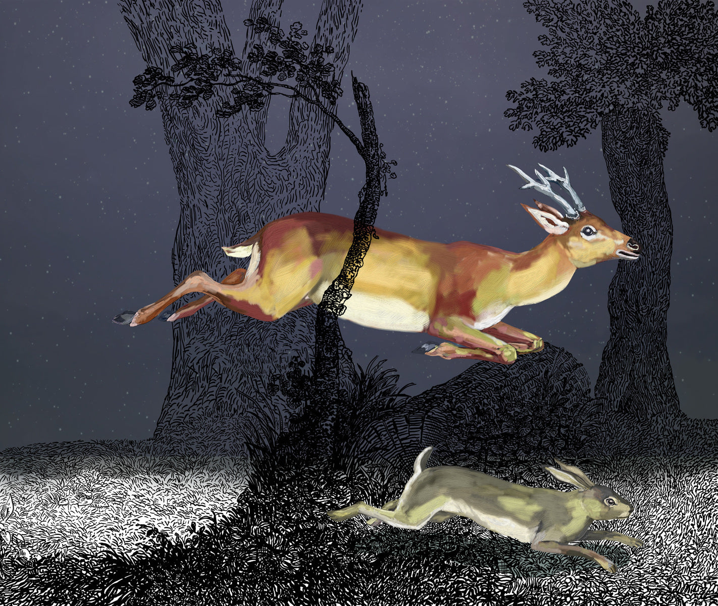 A Night in the Forest