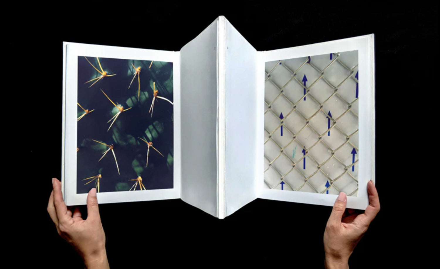 A Telepathic Book