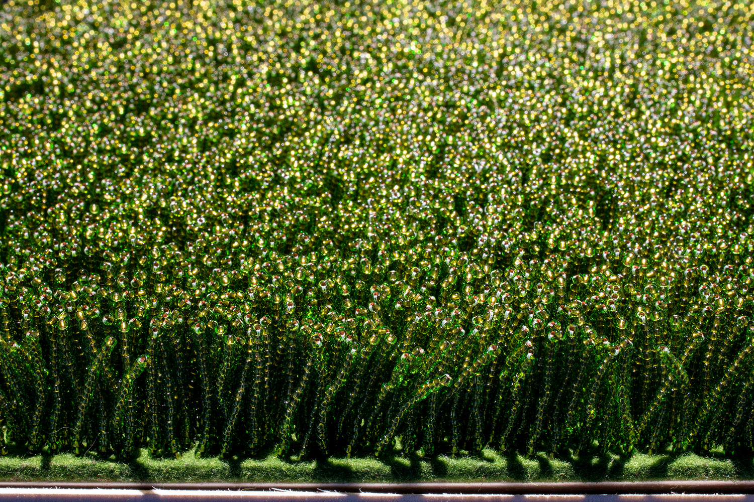 they built fields of grass on sawdust (poplar)