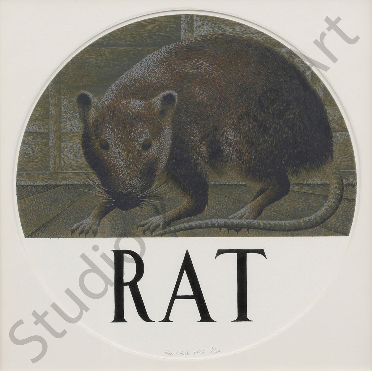 Rat 42/70